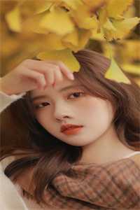 眷恋雾未眠精品选集