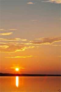 看病的帅医生，咋成我的空降BOSS了热门小说