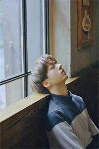 彼岸城暖花意阑爆火全网