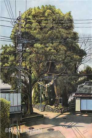 谁知与你相逢晚免费阅读