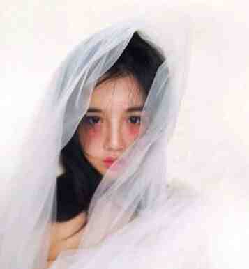 旧岁阑珊，故人迟来目录