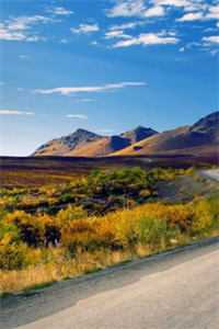 要命！我撩的温柔太子是阴湿病娇宋菀筠谢枭执小说结局