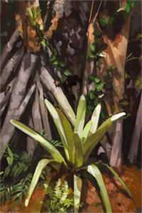 我心向明月不向她陆寂尘江楚楚全文免费