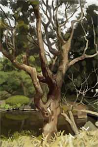 关雎洲上雪泷纱畅读