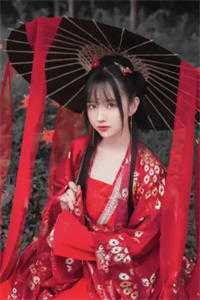 长风漫雪，吹不散旧梦篇章