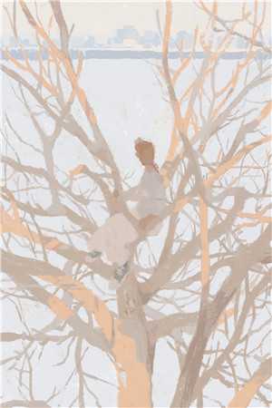 没驾照的弟媳妇，非要开我豪车回娘家过年全文+后续