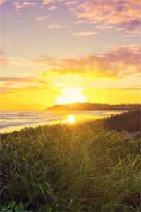 重生78：娇妻求我收容俏大姨子全文+免费