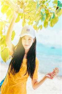 你等南风起，我等故人归完结版