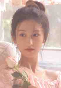 月落辞归衍爆款宝藏