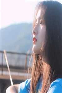 恰逢旧梦又惊鸿的小说