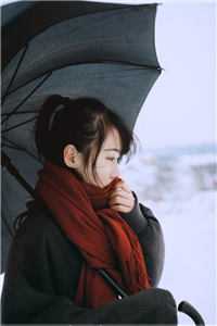 养兄登基为帝后，全家都吓哭了小说畅读