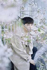 请给我一封断亲书最完整版