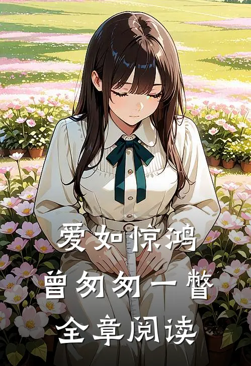 爱如惊鸿,曾匆匆一瞥全章阅读感悟