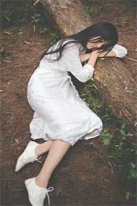 长风漫雪，吹不散旧梦小说畅读