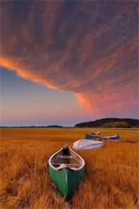 我虚构的假员工，竟半夜出了事故王大山赵旭明全文免费