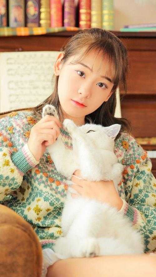 醉月一帘幽梦篇章