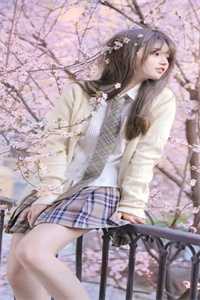 顶级诱捕法则全文+免费