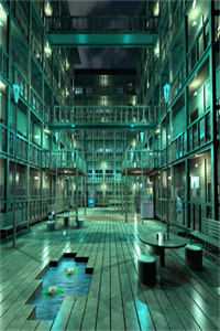 关雎洲上雪泷纱完结