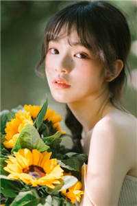 北城再无红颜笑全文章节