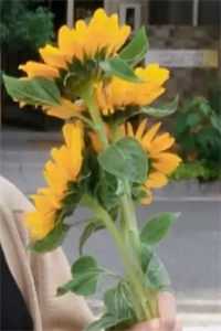 觊觎你老婆好久了最完整版