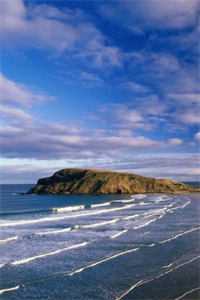 眷恋雾未眠完结