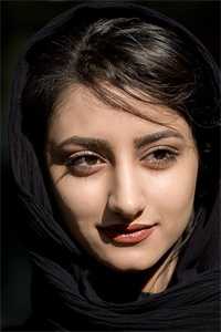 风定花犹落小说免费阅读