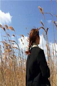 心灯已灭，别后不春小说免费阅读