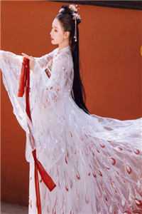 清冷权贵缠上我，夜夜不停吻全文+后续