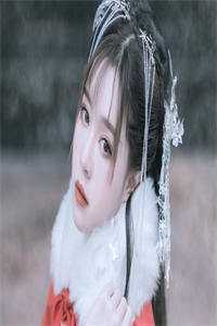 不如相忘于人海合集530火爆小说