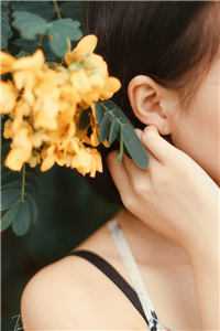 弃我去者，昨日之日不可留无删减版