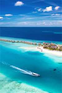 本想苟着当管事，结果被千金们倒追全章节