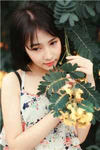 旧梦如霜流光碎未删减版