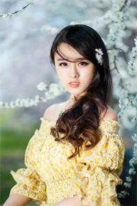 不如相忘于人海合集530免费阅读全文