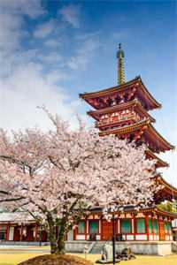 奈何缘尽误此生宋暖顾时夜全文+免费