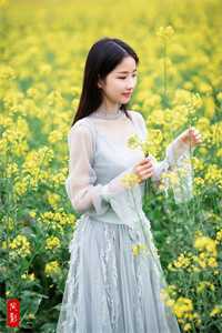 枯萎逢春行良心推荐