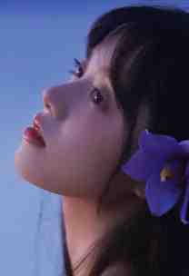 死遁后，四个爹爹悔疯了小说畅读