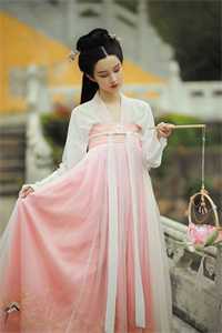 那年所愿空如梦秦深南枝全集