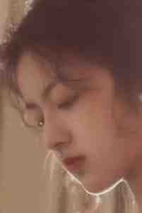 北城旧梦扰清风完本