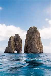 出逃后，偏执大佬跪求我别走阅读