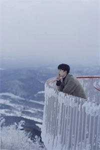 我在虚无星际守着过期爱意最新