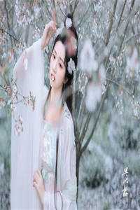 谁与明月共度韶华精品推荐