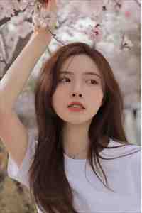 雪落无声覆白头质量好文