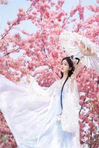 倦鸟不归栖无弹窗