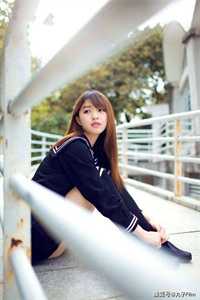 风过旧港，岁月无归小说免费阅读