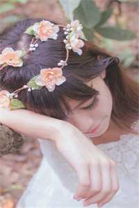 雁北回南情未至小说大结局