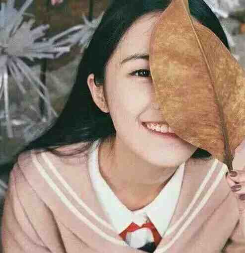 候鸟向北，铃兰向南完整文集阅读