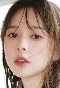 杨过：这次，换我来守护桃花岛无错版