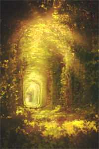 年底全村分红，人均10万我10块火爆小说