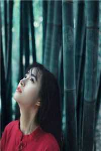 梨花先雪未白头无删减+无广告