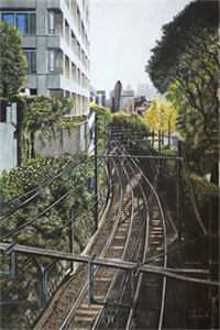 养的狼狗长大后，会捅主人了？林御傅砚洲无删减全文